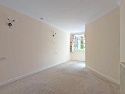 Picture 8